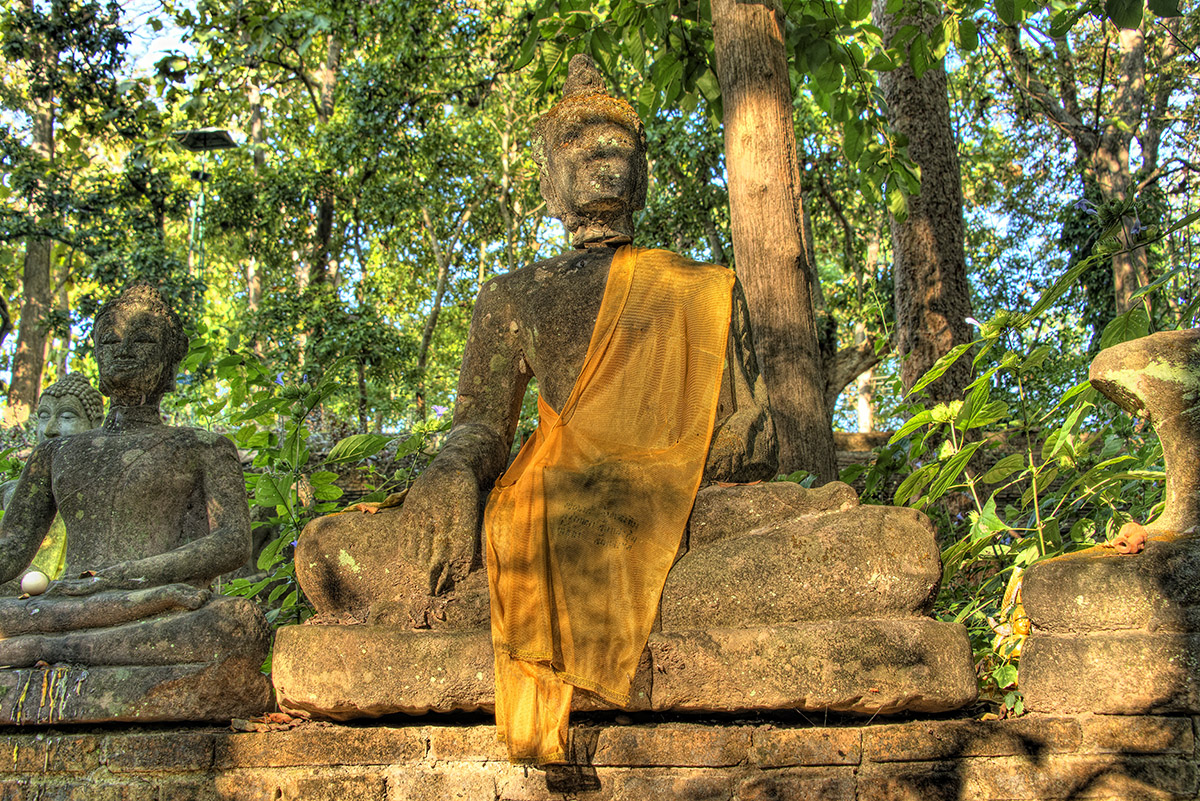 Wat Umong Garden II