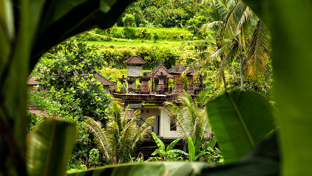 Indonesia-1-Bali-052