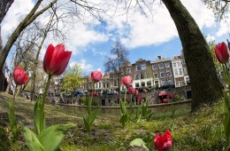 Utrecht Spring 2